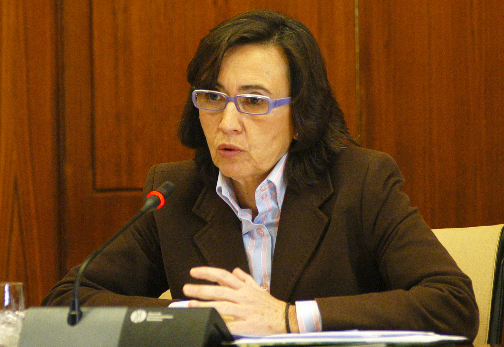 Rosa Aguilar, consejera de Obras P�blicas y Transportes, comparece ante la Comisi�n