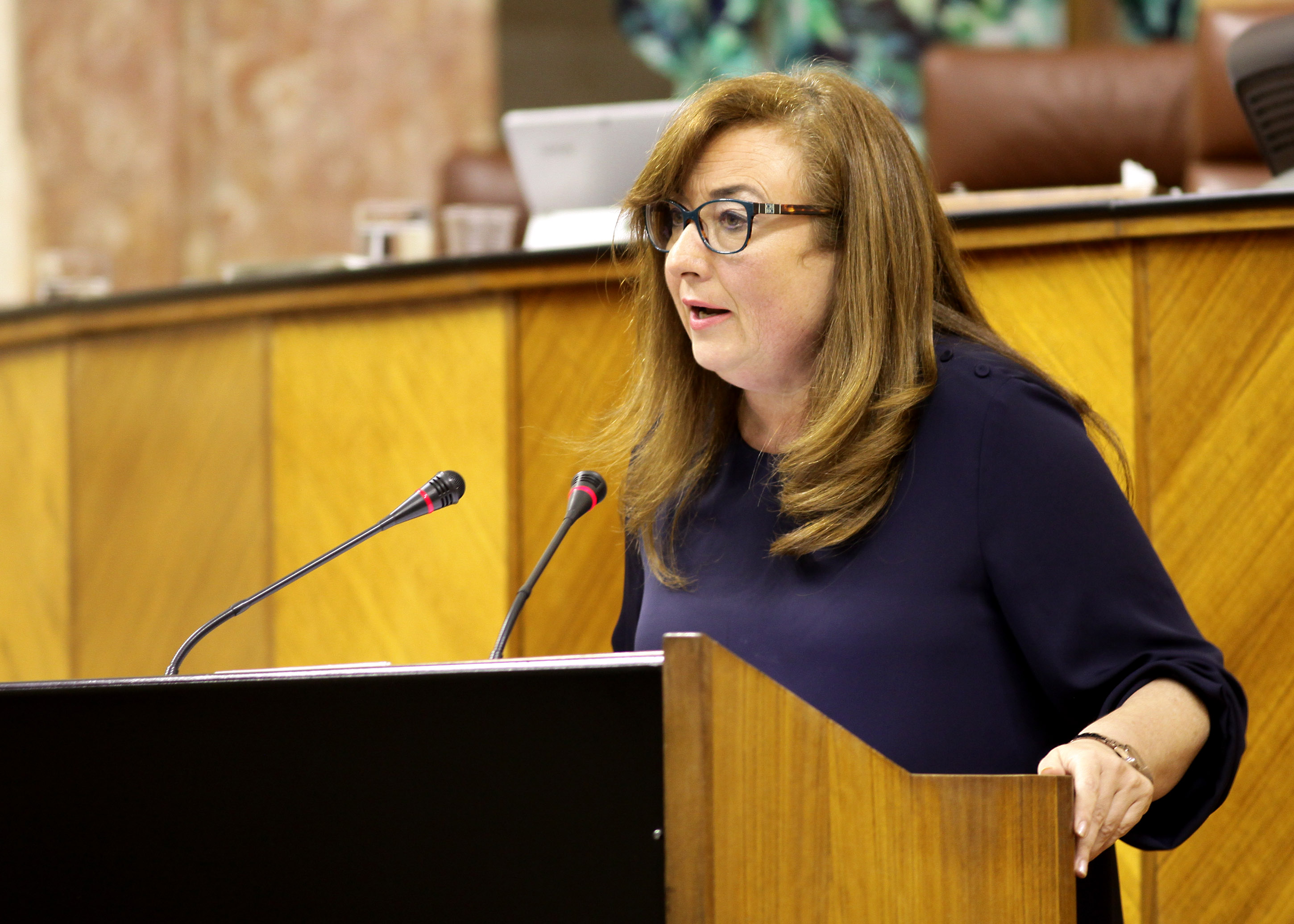 Soledad Prez, del Grupo Socialista, presenta una proposicin sobre medidas contra la violencia de gnero