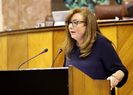 Soledad Prez, del Grupo Socialista, presenta una proposicin sobre medidas contra la violencia de gnero