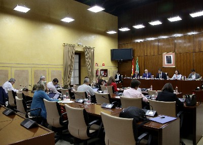 La Comisin de Control de la RTVA y sus Sociedades Filiales, al inicio de la comparecencia del subdirector general, Joaqun Durn