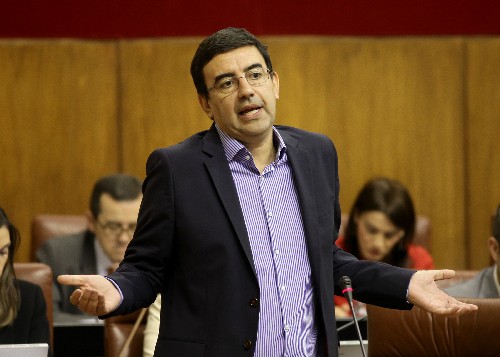 El portavoz del Grupo Socialista, Mario Jimnez, interviene en la sesin de control