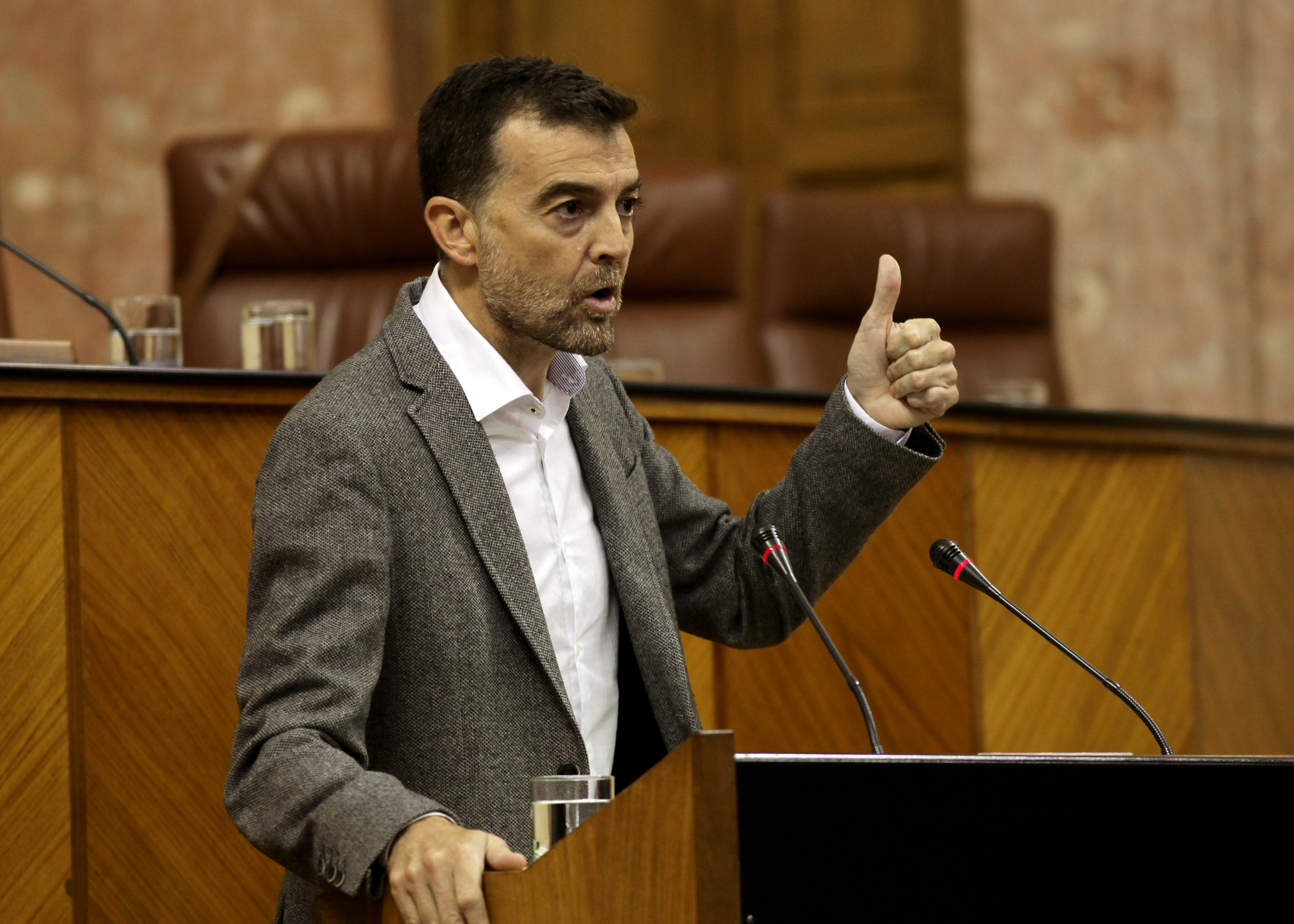 El portavoz del Grupo IULV-CA, Antonio Mallo, presenta al Pleno una interpelacin relativa a polticas en materia de industria