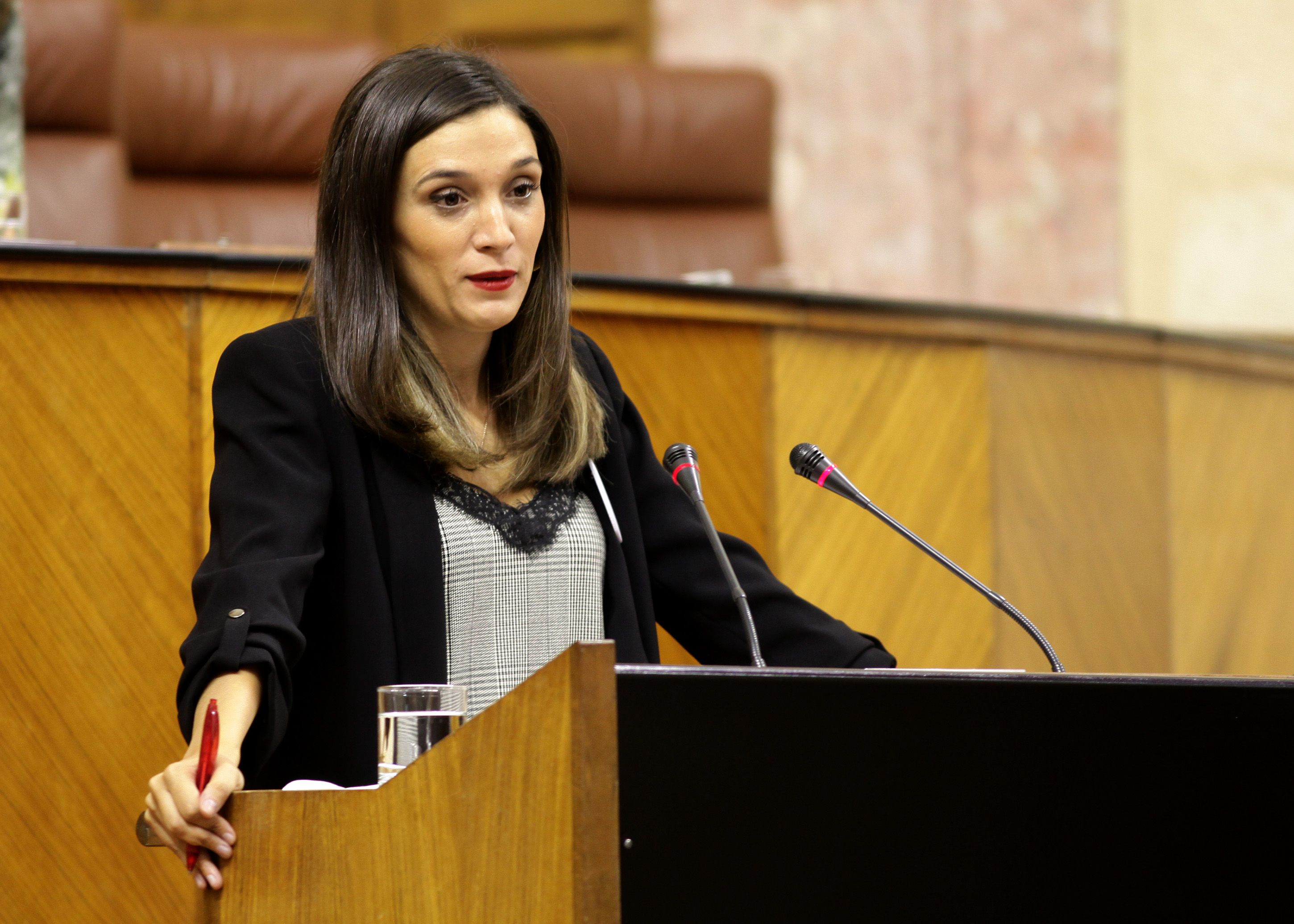 La diputada del Grupo Socialista Mara Mrquez solicita al Pleno el apoyo a la candidatura de Medina Azahara como Patrimonio de la UNESCO