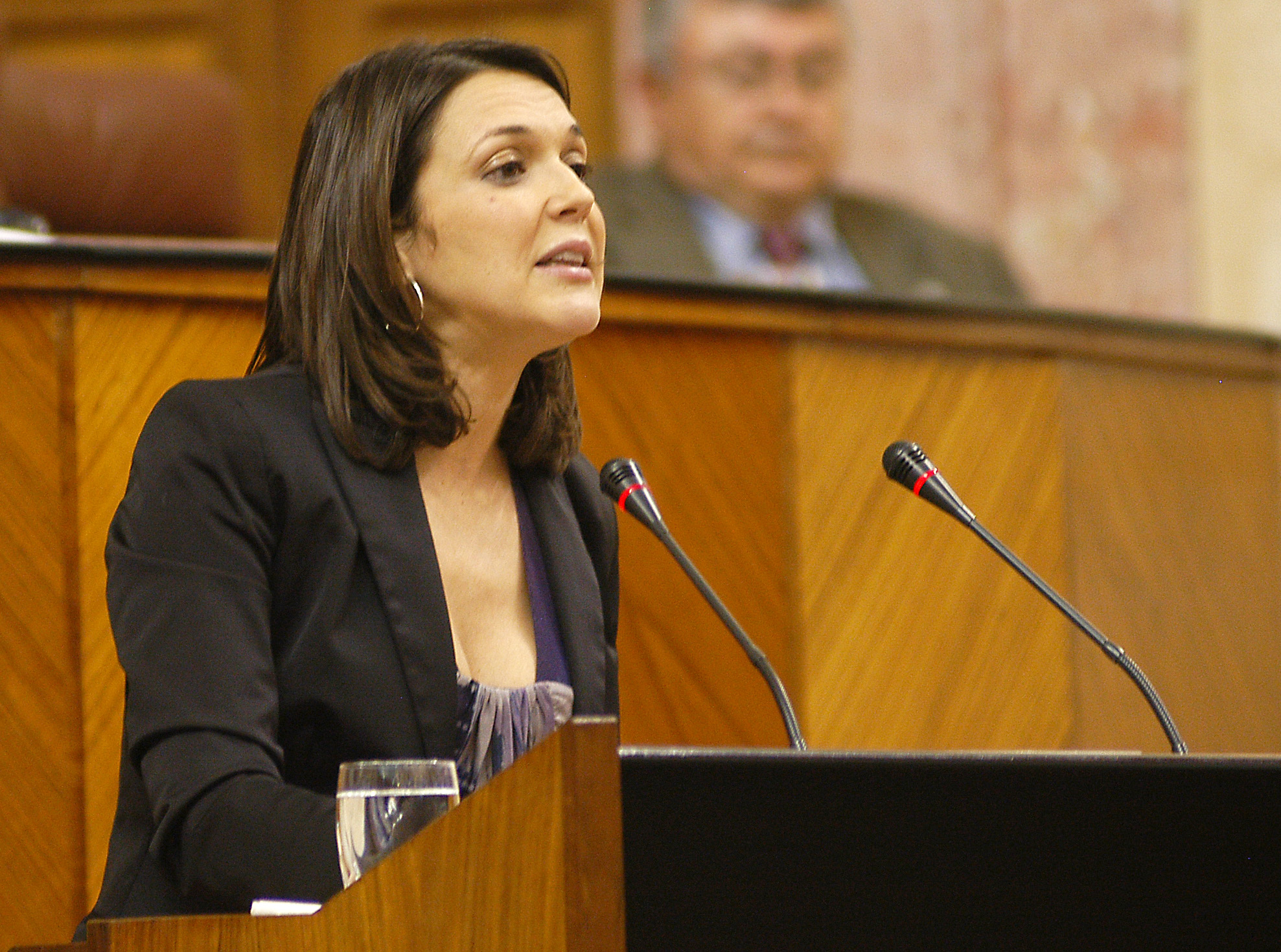 Rosa R�os, del Grupo parlamentario Socialista
