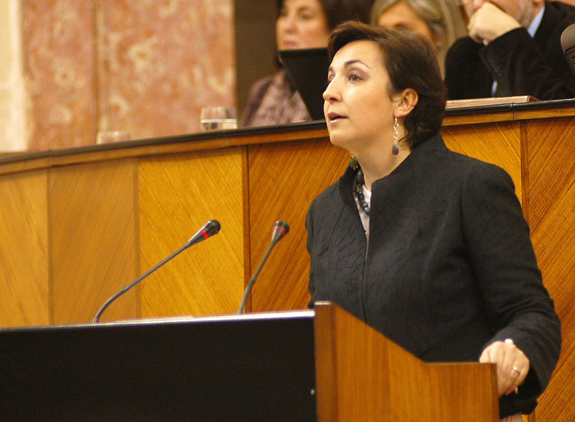 La diputada del Grupo parlamentario Popular Ana Corredera interviene en el debate del proyecto de ley
