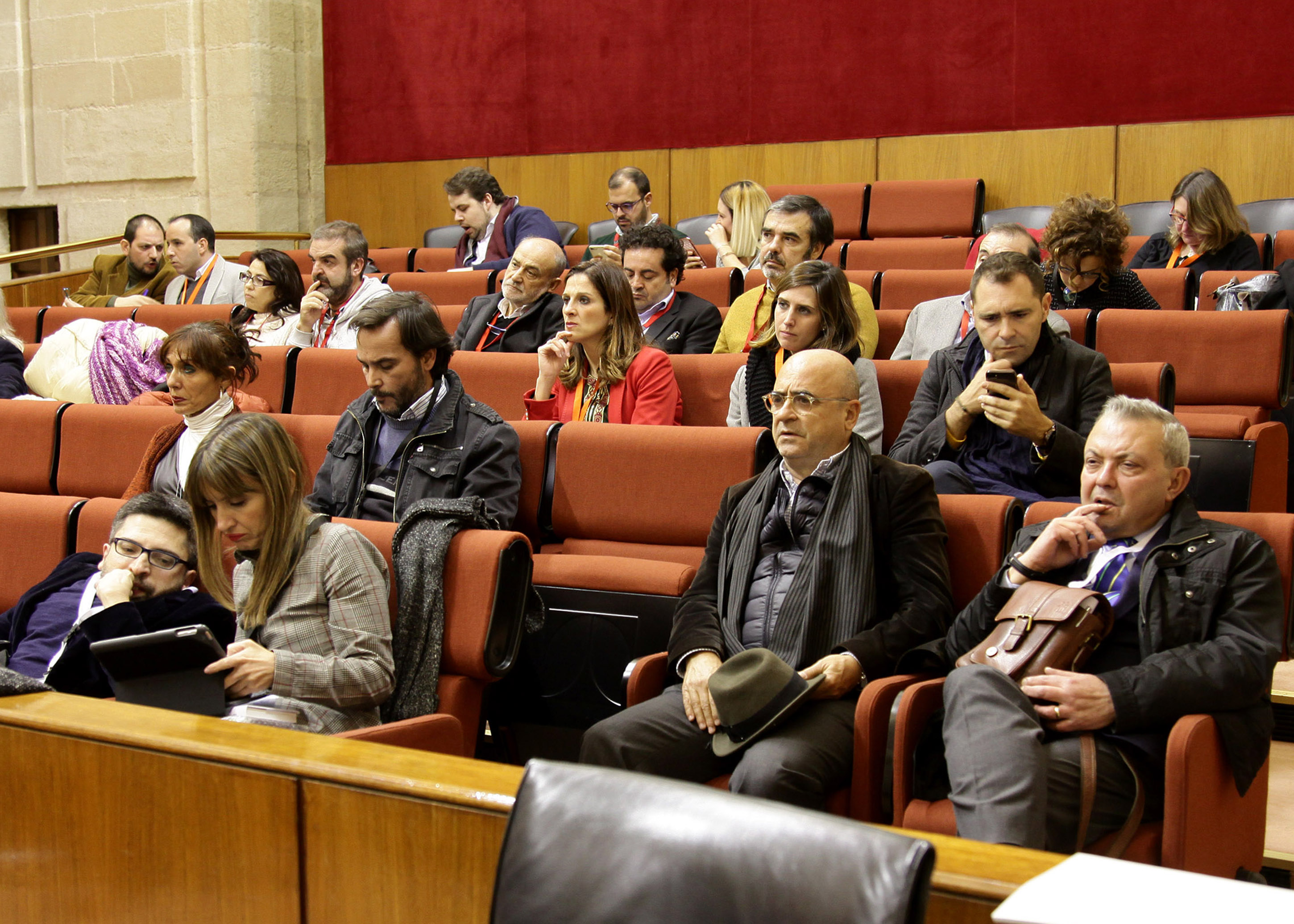 Representantes del sector cinematogrfico asisten a la sesin desde la tribuna de pblico