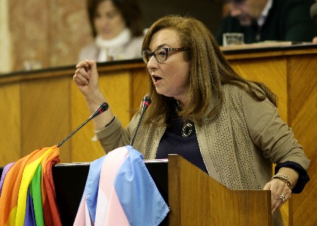 Soledad Pérez, del Grupo Socialista, en el debate final de la proposición de ley de derechos de las personas LGTBI