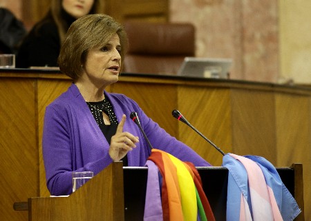 La diputada del Grupo Popular Esperanza Oña interviene en el debate final de la proposición de ley