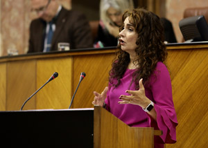 La consejera de Hacienda y Administracin Pblica, Mara Jess Montero, responde a una interpelacin del Grupo Ciudadanos