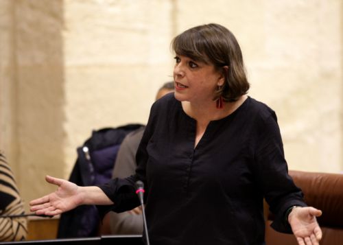 Elena Corts formula su pregunta a la presidenta en nombre del Grupo parlamentario de Izquierda Unida