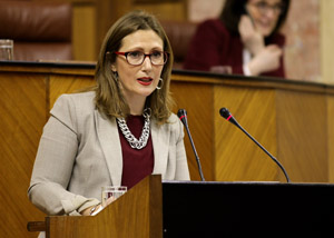 Sonia Ruiz, del Grupo Socialista, presenta al Pleno una proposicin no de ley sobre el 8 de marzo por la igualdad laboral y salarial de las mujeres