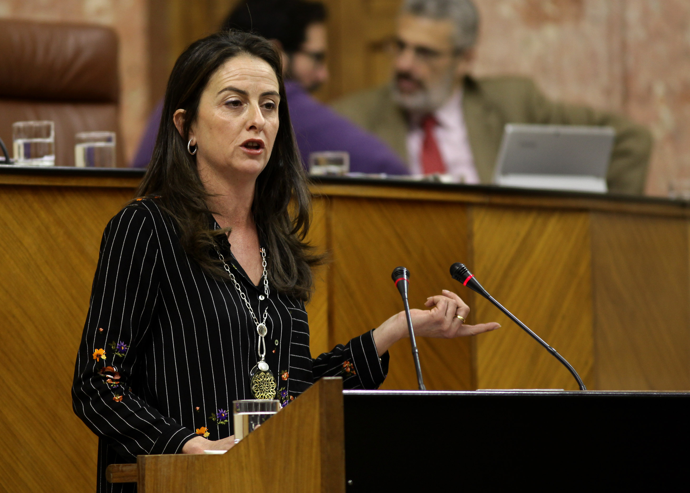 Ar�nzazu Mart�n, del Grupo Popular, presenta una moci�n sobre pol�ticas en materia de aguas