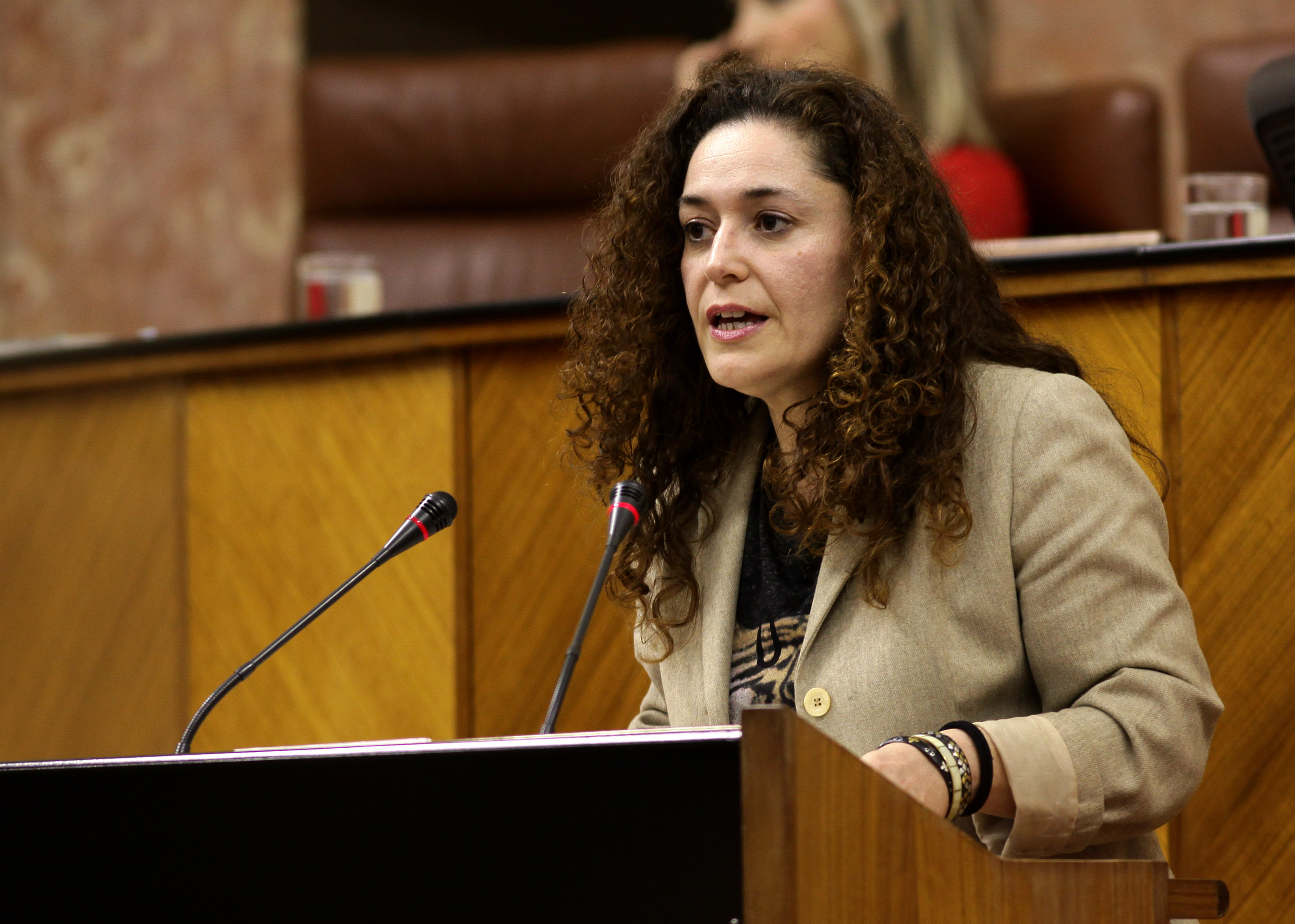Inmaculada Nieto, del Grupo IULV-CA, presenta una proposici�n no de ley en el Pleno