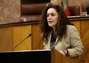 Inmaculada Nieto, del Grupo IULV-CA, presenta una proposici�n no de ley en el Pleno