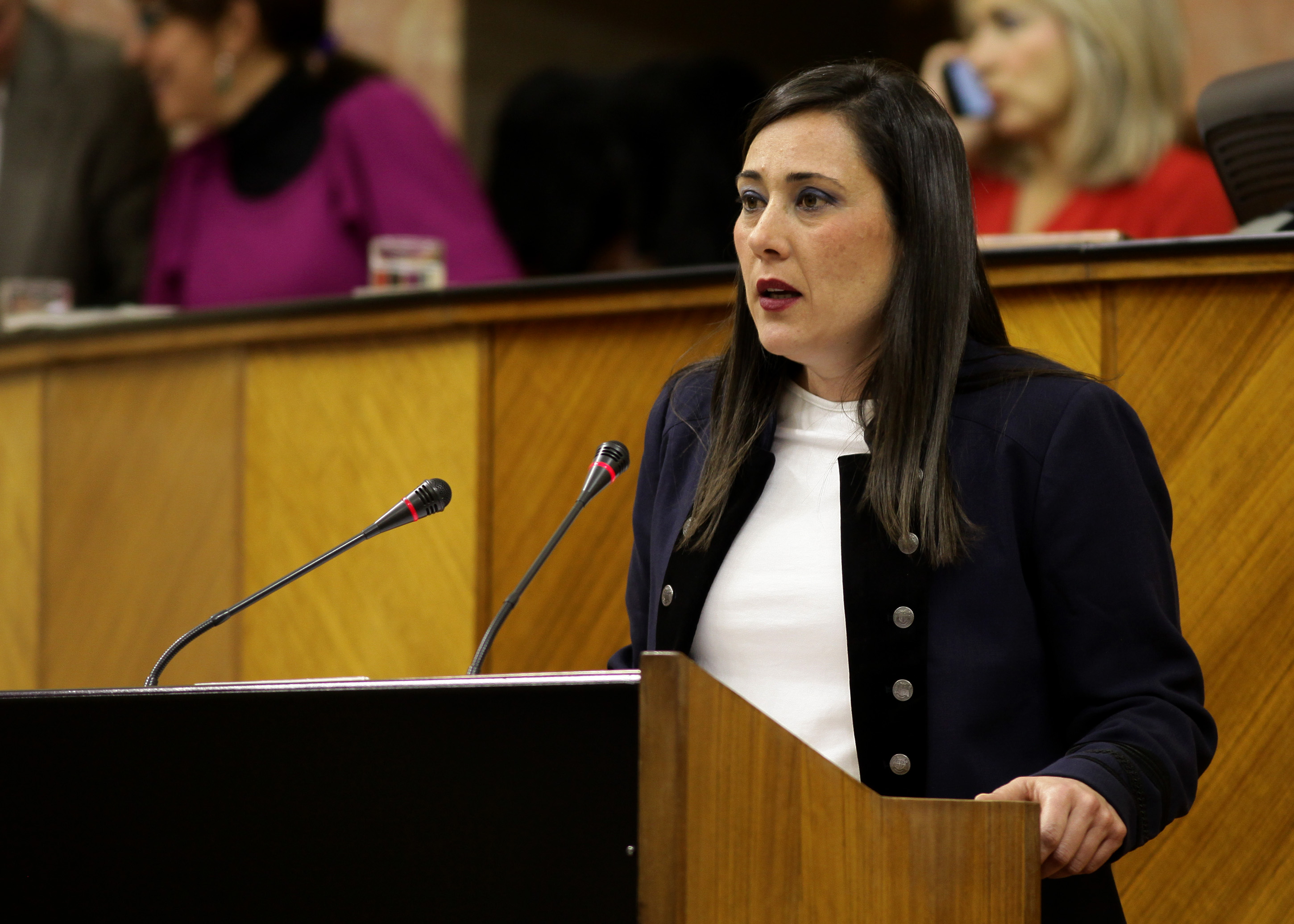 La diputada del Grupo Socialista Roc�o Arrabal presenta al Pleno una proposici�n sobre un Plan Integral de Desarrollo y Proyecci�n del Campo de Gibraltar