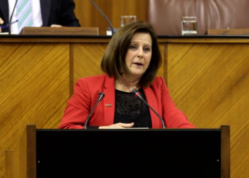 La consejera de Igualdad y Polticas Sociales, Mara Jos Snchez Rubio, interviene en el debate de la Ley Andaluza del Voluntariado