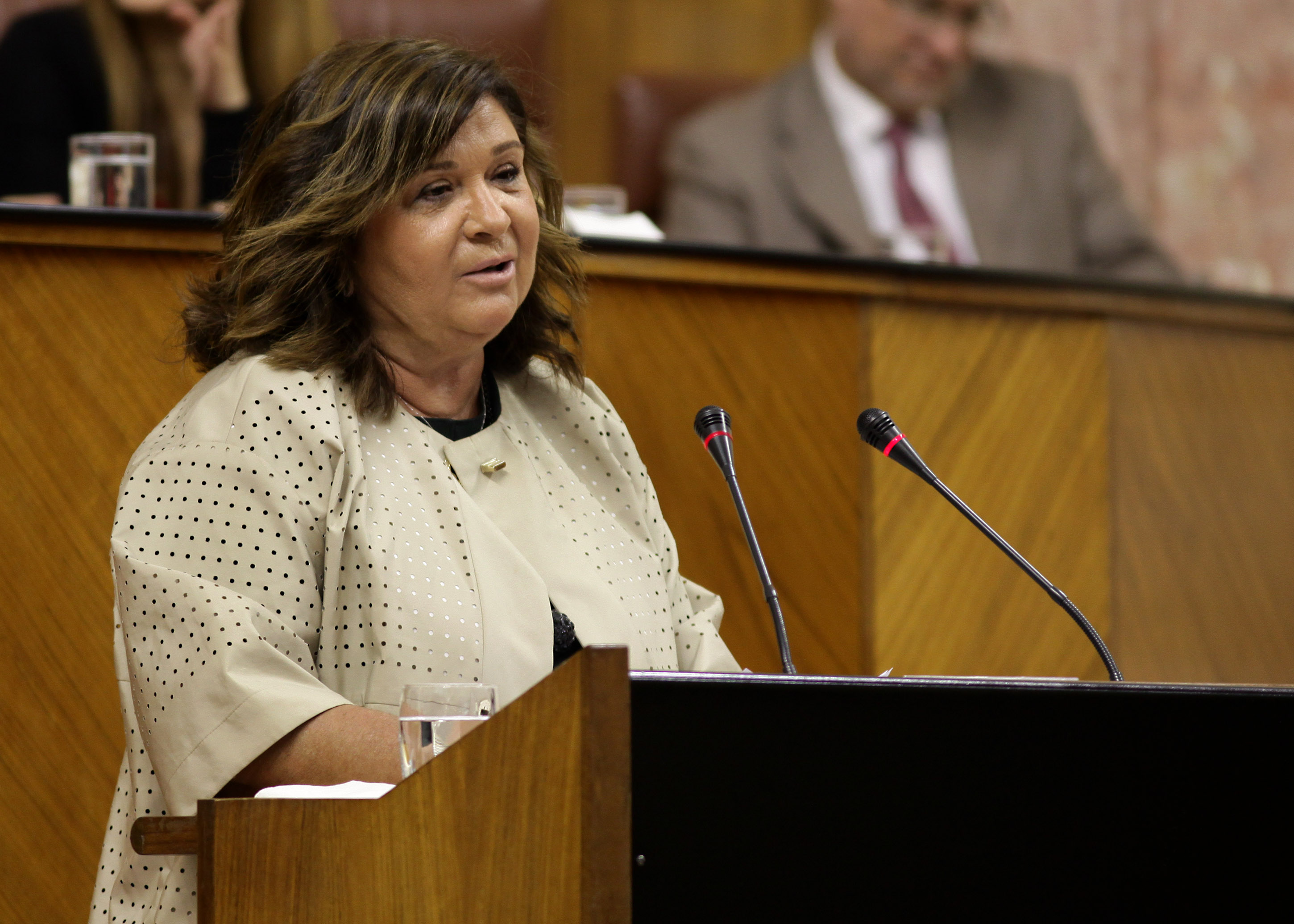 Carmen Cspedes, portavoz del Grupo Popular en el debate de la Ley Andaluza del Voluntariado