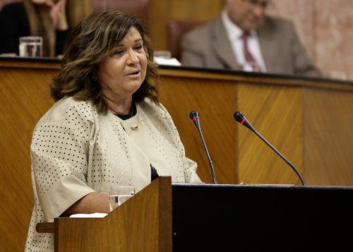 Carmen Cspedes, portavoz del Grupo Popular en el debate de la Ley Andaluza del Voluntariado