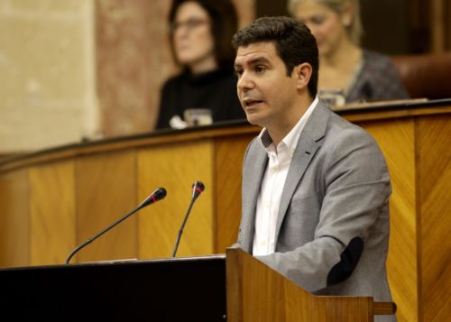 Por el Grupo parlamentario de Ciudadanos interviene su diputado Sergio Romero
