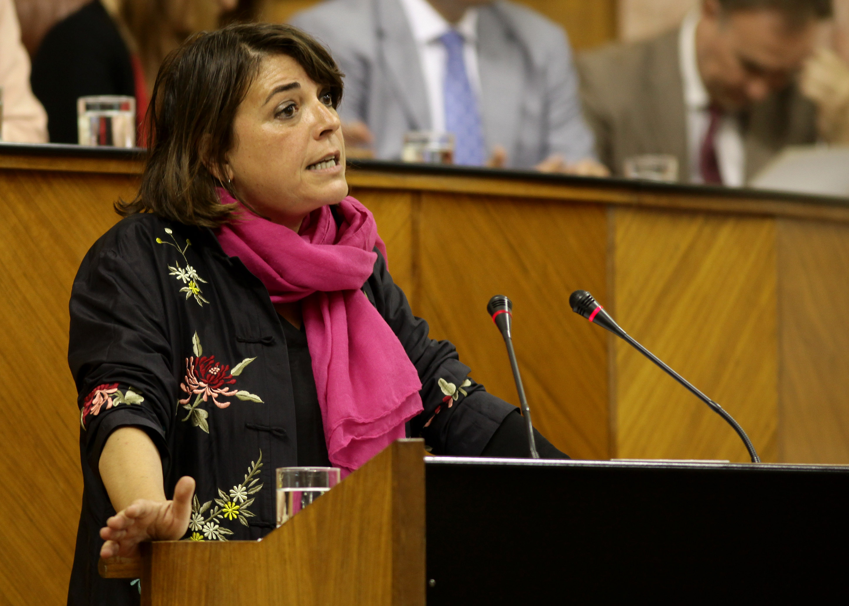 Elena Corts, del Grupo parlamentario de Izquierda Unida LV-CA, interviene en el debate de la Ley Andaluza del Voluntariado