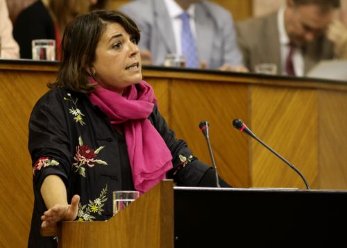 Elena Corts, del Grupo parlamentario de Izquierda Unida LV-CA, interviene en el debate de la Ley Andaluza del Voluntariado