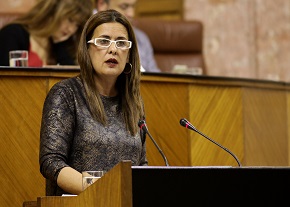 La consejera de Educacin, Sonia Gaya, interviene ante el Pleno
