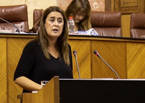 Sonia Gaya, consejera de Educacin, comparece ante el Pleno 