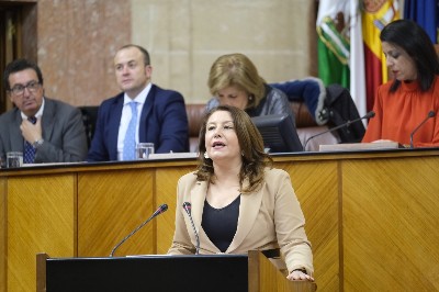  La portavoz del Grupo Popular, Carmen Crespo, en el debate de investidura