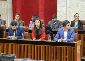 Los diputados del Grupo parlamentario Ciudadanos, en sus escaos 