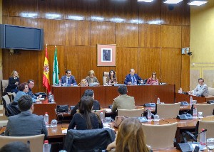 El Parlamento celebra hoy las sesiones constitutivas de las comisiones permanentes legislativas y no legislativas. En la imagen, constitucin de la Comisin de Reglamento 