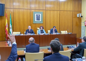 La vicepresidenta segunda, Teresa Jimnez, preside la constitucin de la Comisin de Economa, Conocimiento, Empresas y Universidad
