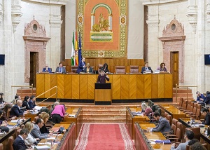  Antonio Ma�llo, portavoz del Grupo Adelante Andaluc�a, presenta al Pleno una interpelaci�n en materia de transporte y movilidad
