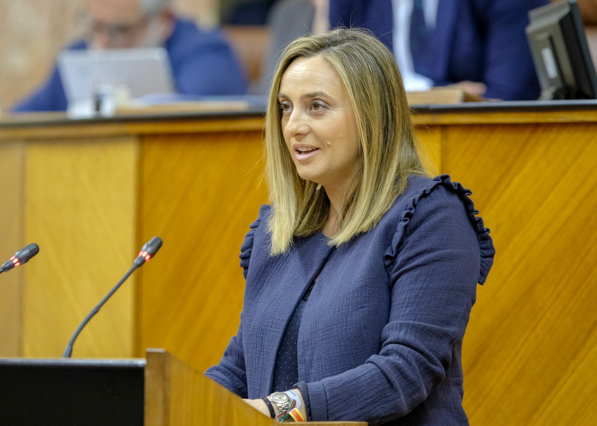  La consejera de Fomento, Mar�a Francisca Carazo, responde a la interpelaci�n del Grupo Adelante Andaluc�a