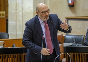 Alejandro Hern�ndez, portavoz del Grupo parlamentario Vox, interviene en la sesi�n de control