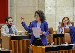  Mar�a Isabel Mora, del Grupo parlamentario Adelante Andaluc�a, en la sesi�n de control