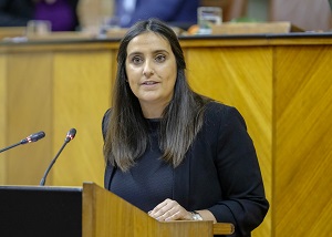  Beatriz Jurado, del Grupo Popular, presenta al Pleno la proposici�n sobre retorno de profesionales sanitarios