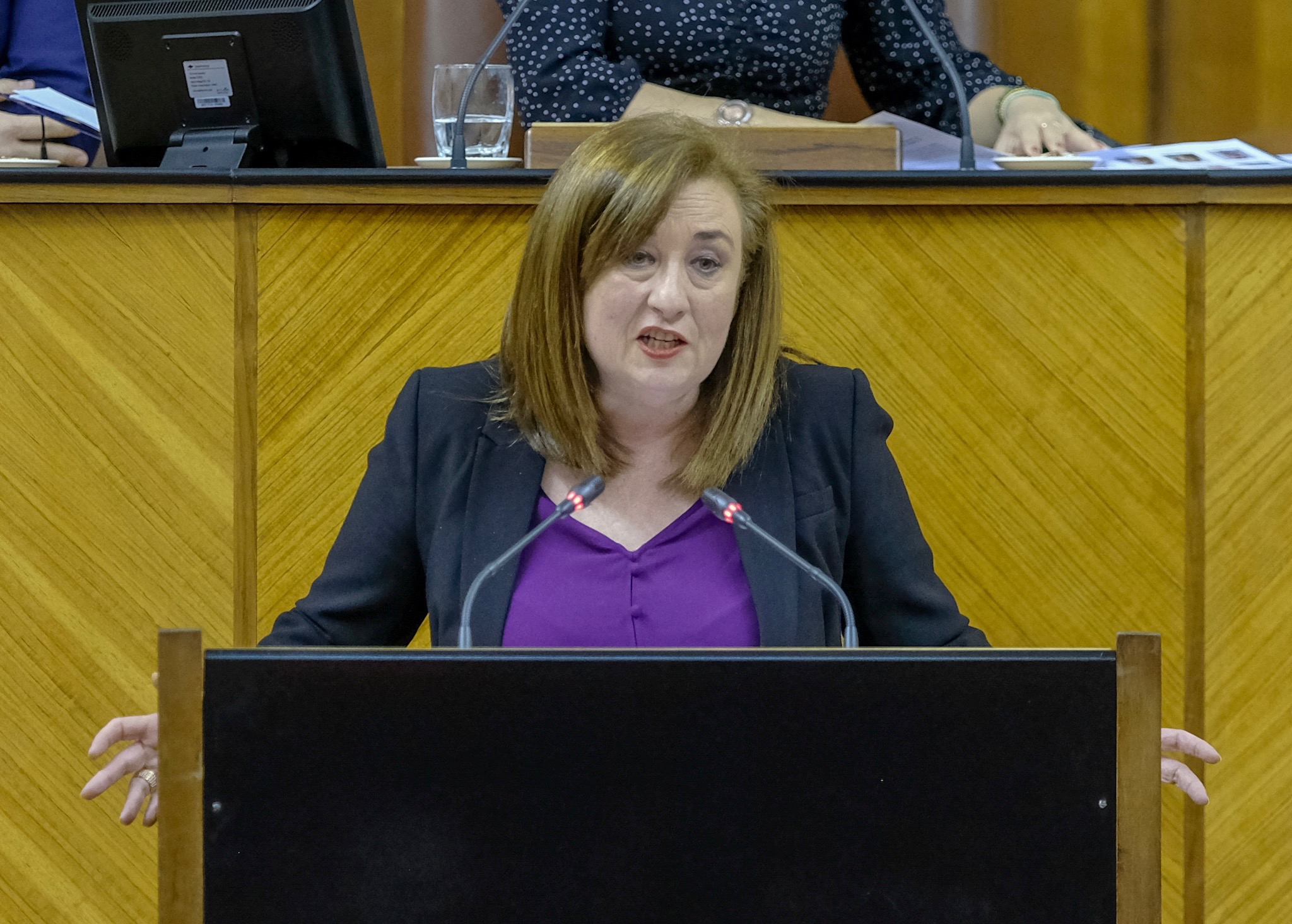 Soledad P�rez, del Grupo Socialista, presenta una proposici�n no de ley sobre el 8 de marzo