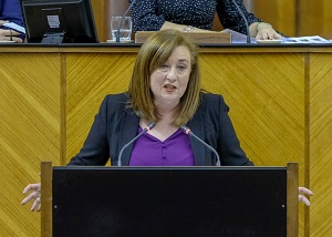  Soledad P�rez, del Grupo Socialista, presenta una proposici�n no de ley sobre el 8 de marzo