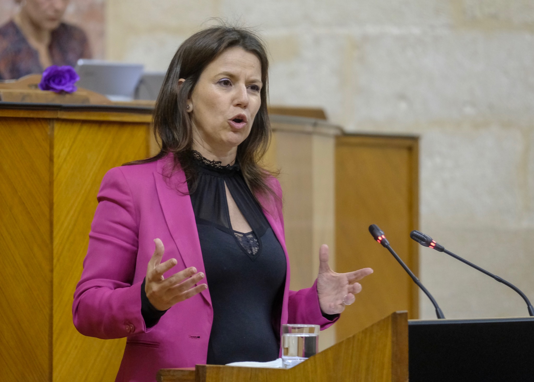  Ana Vanessa Garc�a, del Grupo Popular, propone la creaci�n de una Comisi�n sobre discapacidad