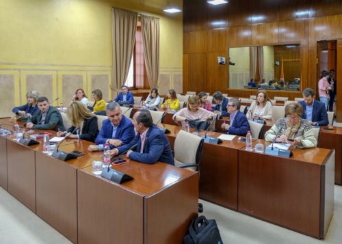 Diputados de la Comisi�n de Discapacidad en Andaluc�a en la Sesi�n Constitutiva de la misma