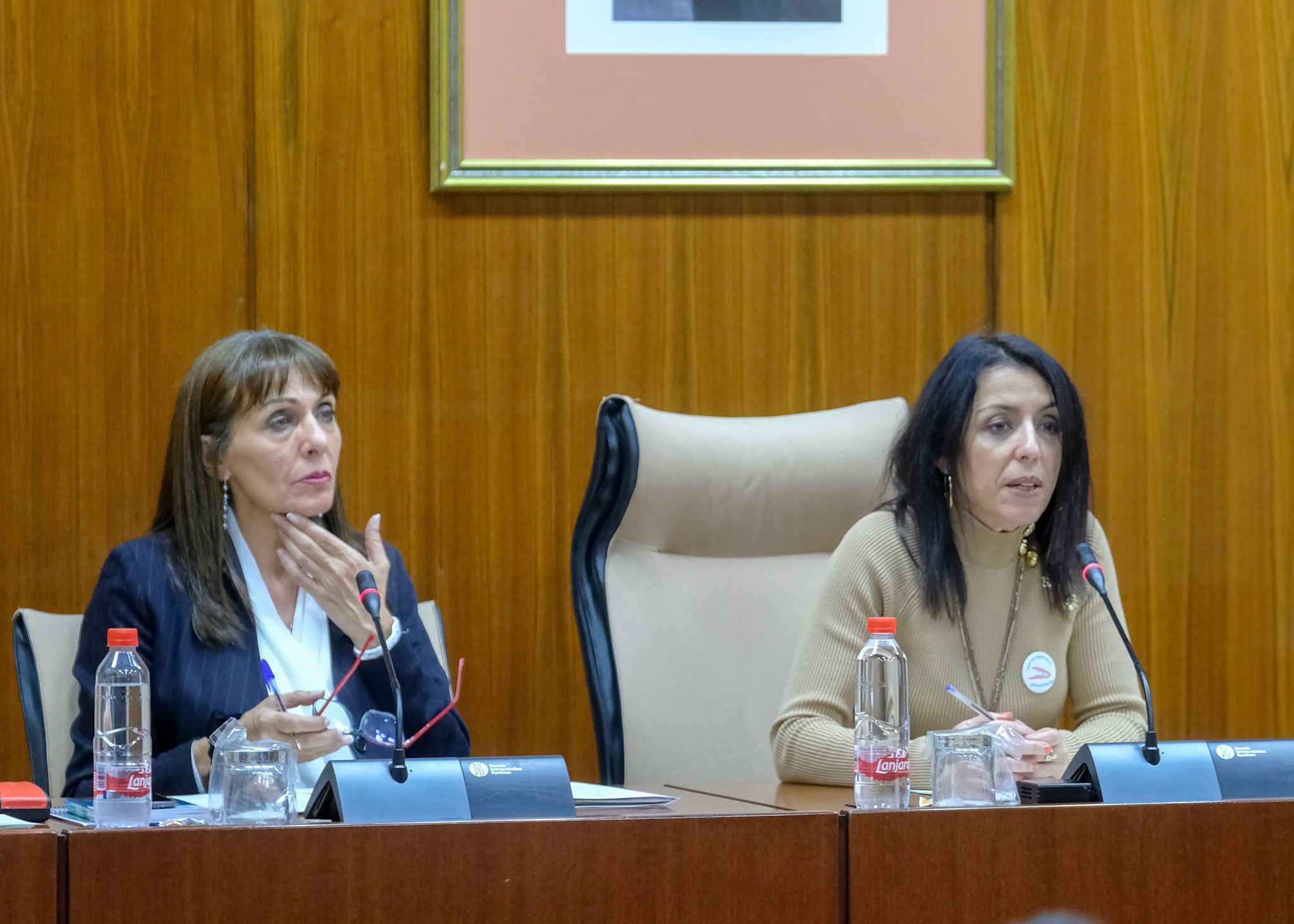  Marta Bosquet preside la sesi�n constitutiva de la Comisi�n de Discapacidad en Andaluc�a