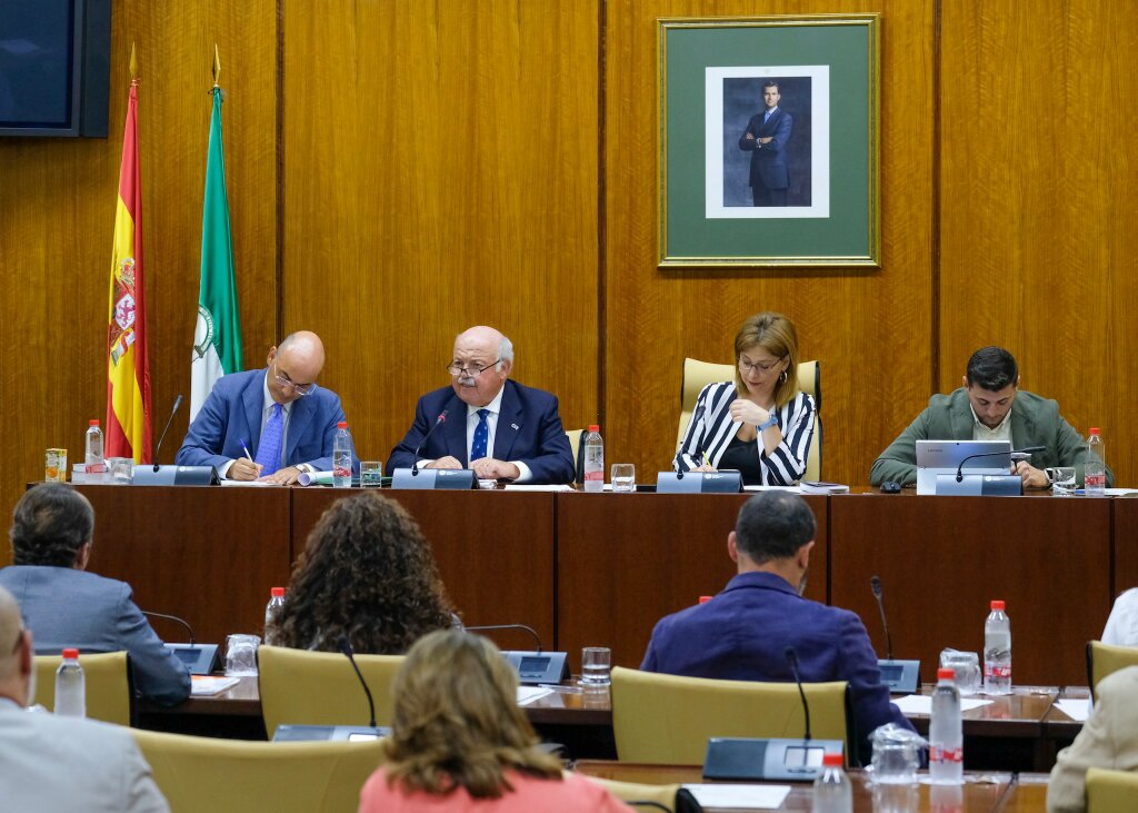  La Mesa de la Comisin de Salud y Familias y el consejero titular 