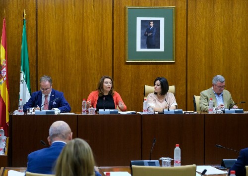 La Mesa de la Comisin de Agricultura durante la comparecencia de la consejera competente en la materia 