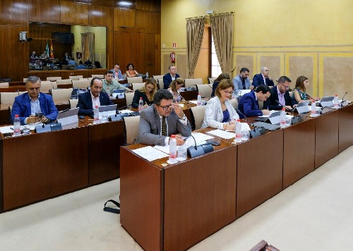 Diputados y diputadas de la Comisin de Educacin y Deporte 