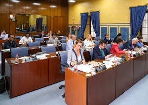 La Comisin de Presidencia, al inicio de la comparecencia del consejero