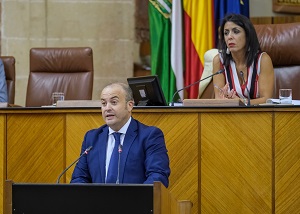  Julio Daz, del Grupo parlamentario Ciudadanos, interviene ante el Pleno