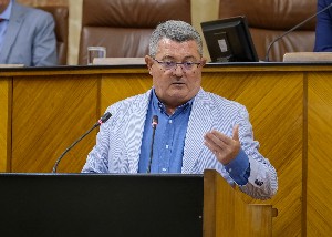  Jess Mara Ruiz, del Grupo Socialista, se dirige al consejero de Salud en el Pleno