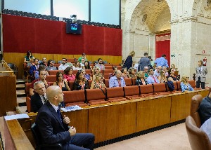  La tribuna de pblico e invitados, durante el debate de la Iniciativa Legislativa Popular