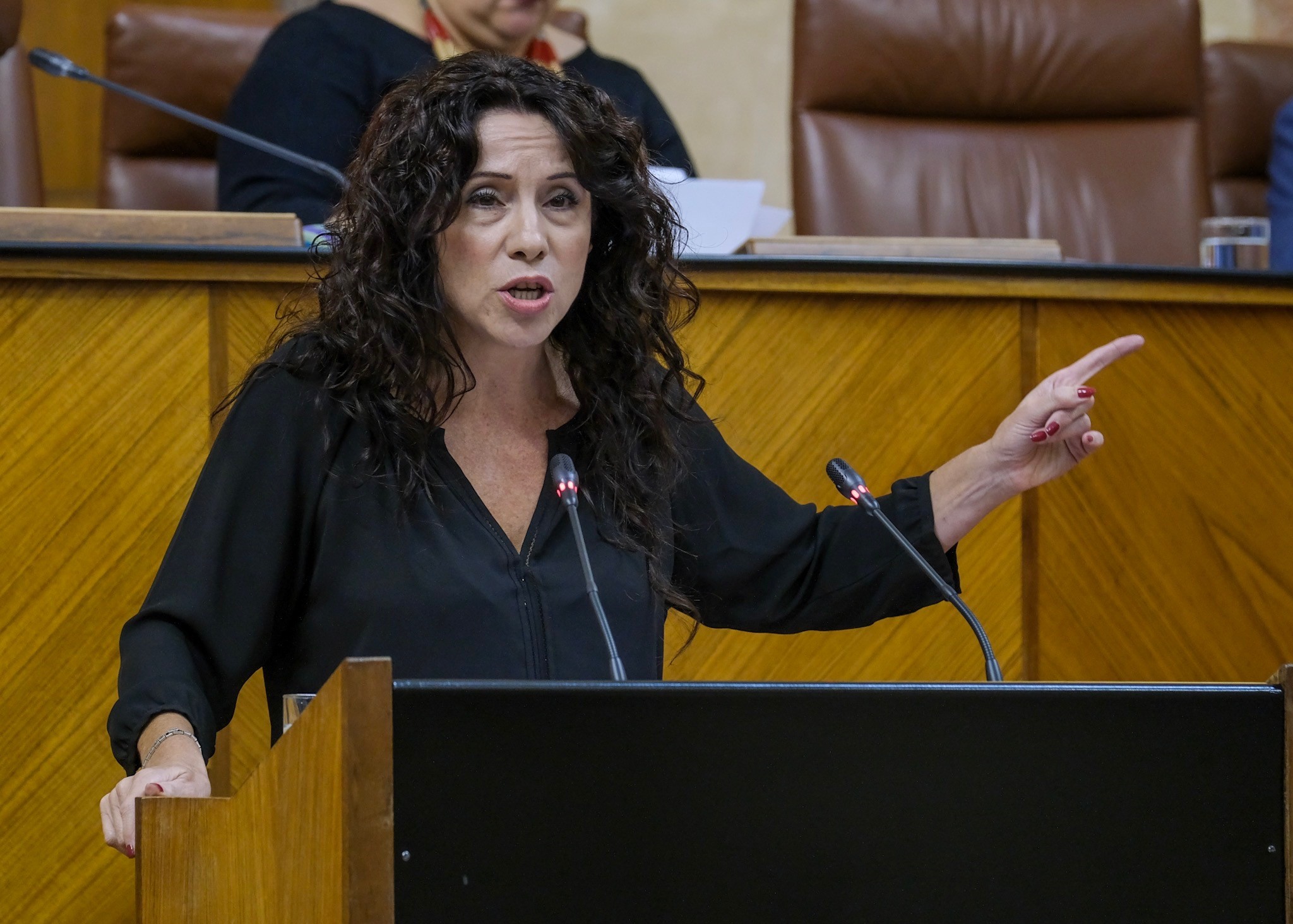  Roco Ruiz, consejera de Igualdad, responde a una interpelacin planteada por el Grupo Socialista