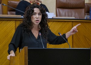  Roco Ruiz, consejera de Igualdad, responde a una interpelacin planteada por el Grupo Socialista